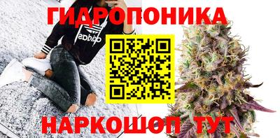 дмт Балахна