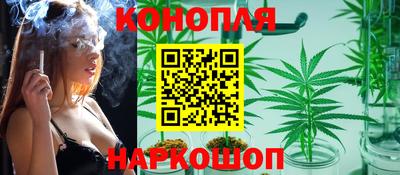 крисы Балаково