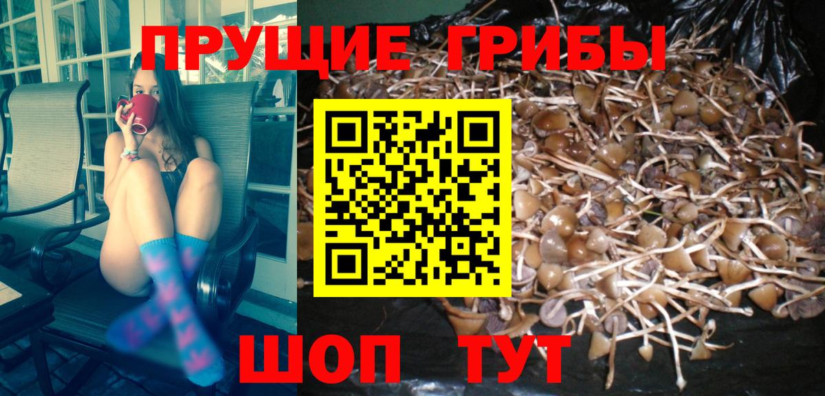 Грязи  Галлюциногенные грибы мухоморы  Вход с VPN 